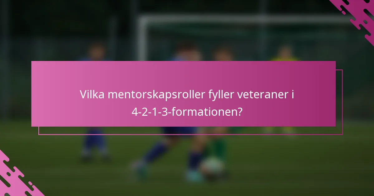 Vilka mentorskapsroller fyller veteraner i 4-2-1-3-formationen?